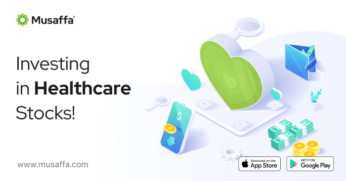 What you Should Know About Investing in Healthcare Stocks - Musaffa Academy