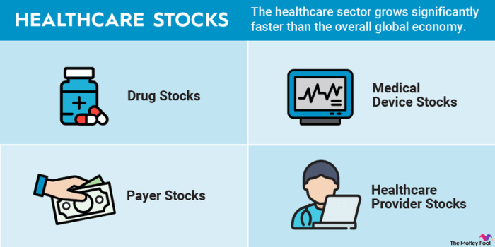 5 Best Healthcare Stocks to Buy in 2024 | The Motley Fool (2025)
